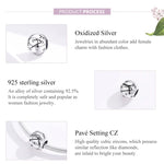 925 Sterling Silver Zodiac Charm with Sparkling Zircon