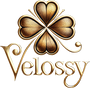 velossy.com